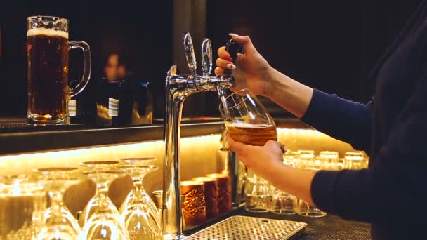 Barmen femme verse de la bière dans le haut verre propre dans le bar élégant, fermer. Professinonal en sweat-shirt bleu ouvre le robinet par sa main et la bière avec de la mousse blanche coule dans la tasse .