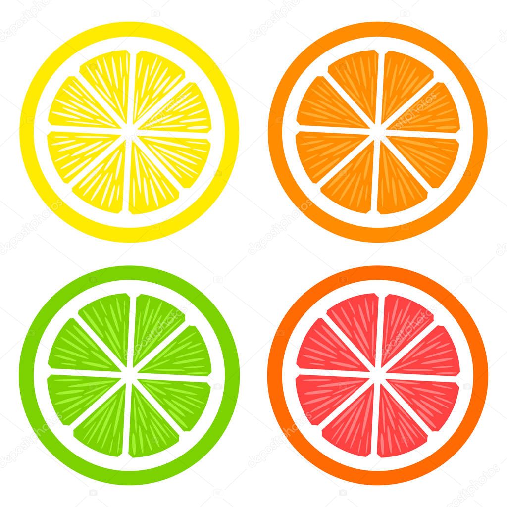 Collection of slices lemon, orange, grapefruit and lime on white background. Fruits set. Vector illustration. Colorful icons.