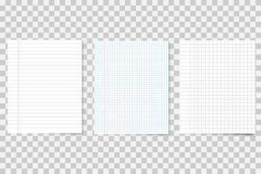 Gerçekçi defter kağıtları kümesi. Farklı okul sayfaları