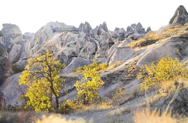 Panorama of unique geological formations with yellow  trees    in autumn — Stock Photo, Image