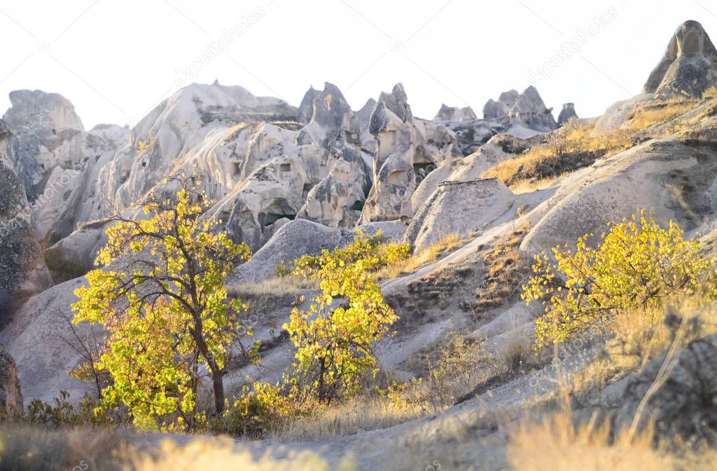 Panorama of unique geological formations with yellow  trees    in autumn