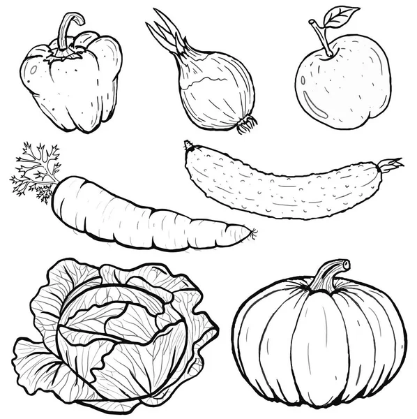 Vector illustration of vegetables collection in line art .Icons. — Stock Vector