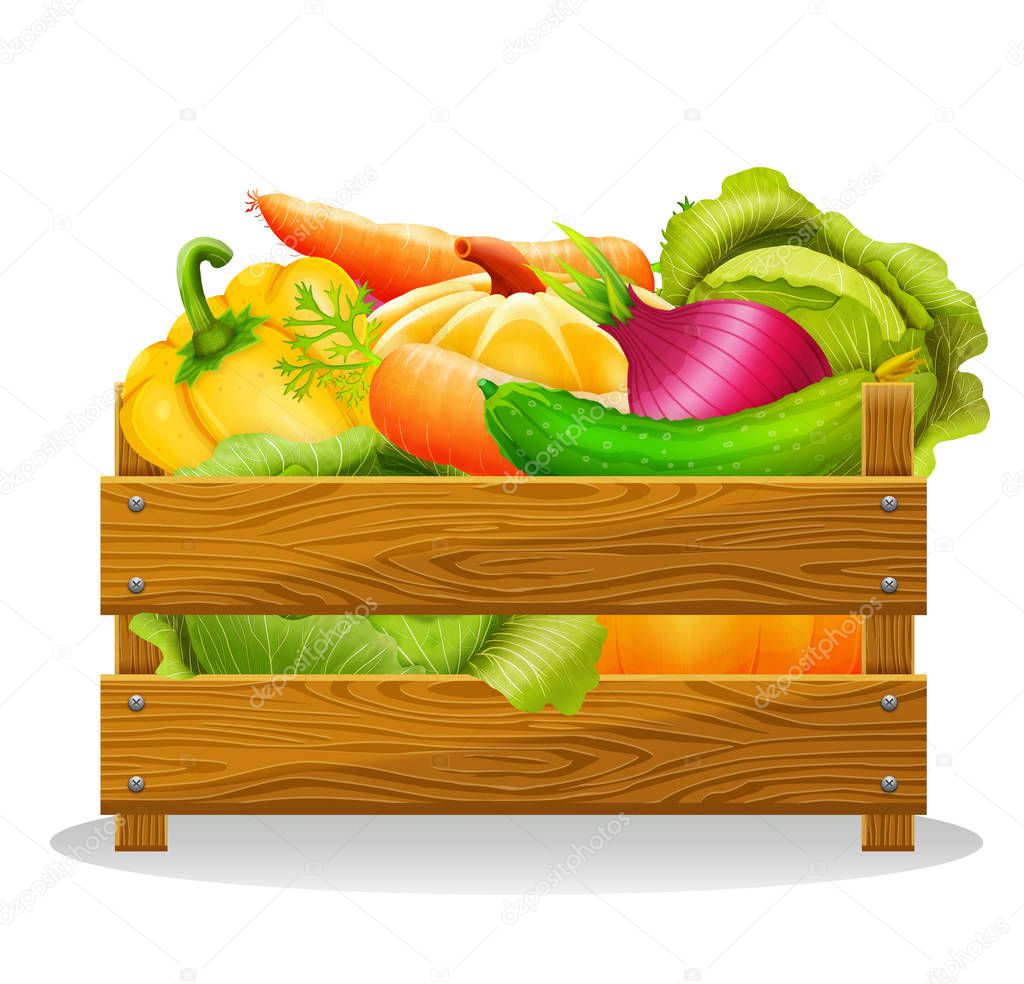 Wooden box with vegetables on white background 