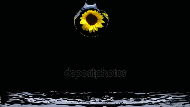 Moře od slunečnice