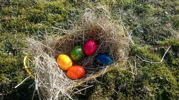 easter nest with colorful eggs