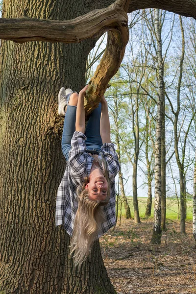 Young woman hangs upside down from a branch of a big tree. Location: Germany, North Rhine Westphalia, Hoxfeld