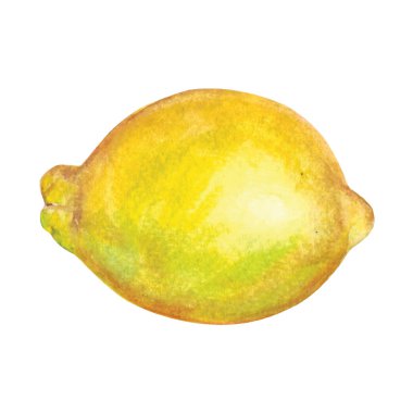 Limon suluboya el çizilen illüstrasyon izole beyaz arka plan üzerinde