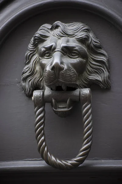 Βίντατζ Χερούλι Πόρτας Που Απεικονίζει Λιοντάρι Για Παλάτι Στην Πάδοβα — Φωτογραφία Αρχείου