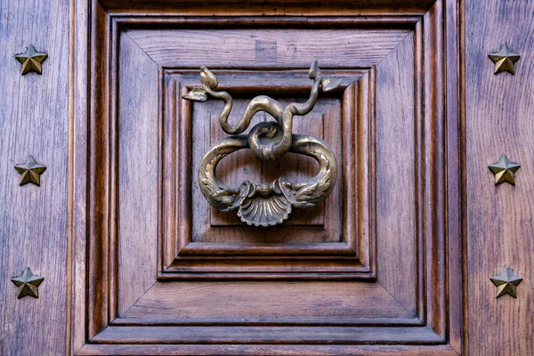 Σιδηρούν Χερούλι Πόρτας Αντιπροσωπευτικά Φίδια Στη Ρώμη Ιταλία Πόκερ Πόρτας — Φωτογραφία Αρχείου