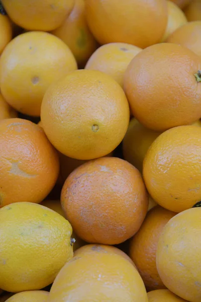 Oranges on sale in a street shop. Food fruit store