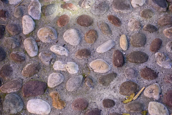 在一条平整的蛇形鹅卵石路上的细节 以卵石大小的石头为基础的天然建筑材料 — 图库照片