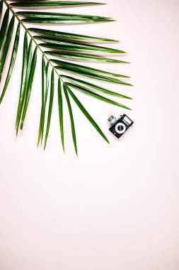 Üstten Görünüm yaz tatil beach palm ağacı yaprak ve küçük fotoğraf makinesi