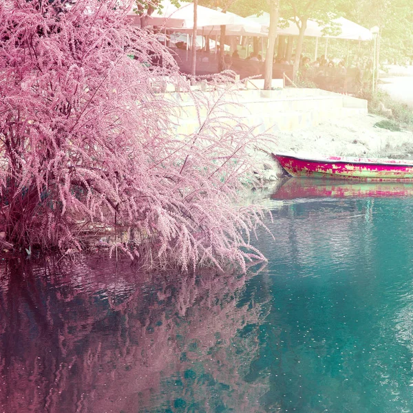 Tirana, Albania. 13 kwietnia 2018: Wiosna w Tiranie. Sztuczne jezioro kwitnące Drzewa fioletowego łodzi ludzie cieszyć się słońcem w kawiarni — Zdjęcie stockowe