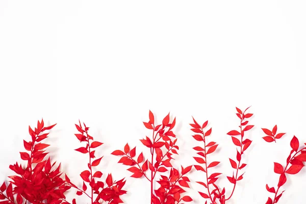 Рамка з червоним листям на білому тлі. Плоский прошарок, вид зверху — стокове фото