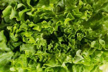 Arkaplan için Tereyağlı Marul 'un tam çerçeve yakın fotoğrafı