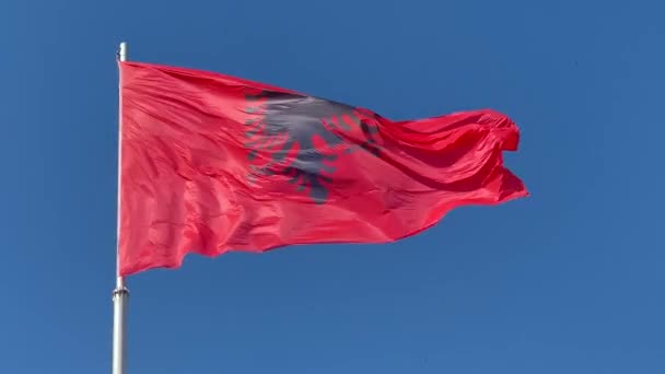 Ulusal Arnavut bayrağı açık mavi gökyüzünde dalgalanıyor — Stok video