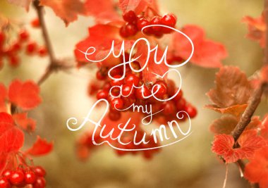 El yazısıyla yazılan yazı bir sonbahar guelder-gül ve beyaz kartıyla dokulu