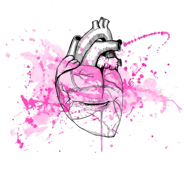 Illustrazione Con Cuore Inchiostro Spruzzi Rosa Acquerello — Foto Stock