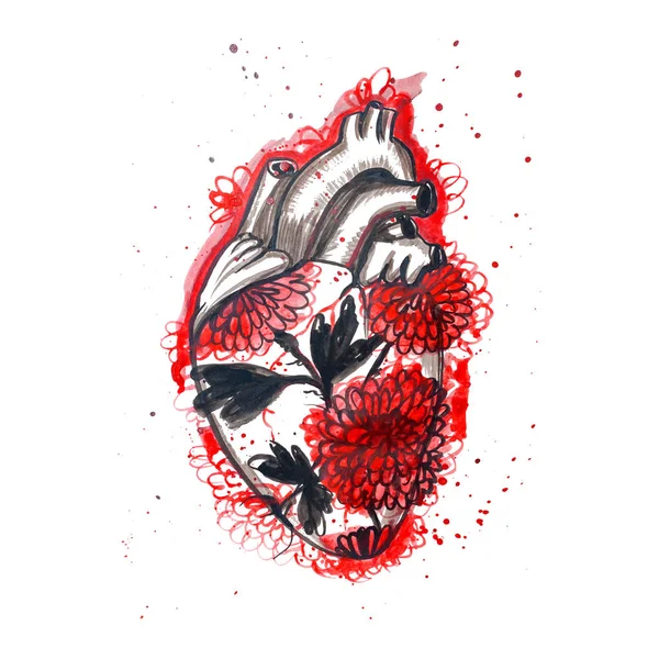 Corazón Tinta Negra Roja Con Crisantemo Ilustración Dibujada Mano — Foto de Stock