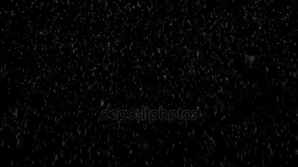 Tempête de neige lourd - Plan large - Boucle sans couture 