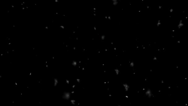 圣诞早晨雪落近-超级慢中射-环 — 图库视频影像