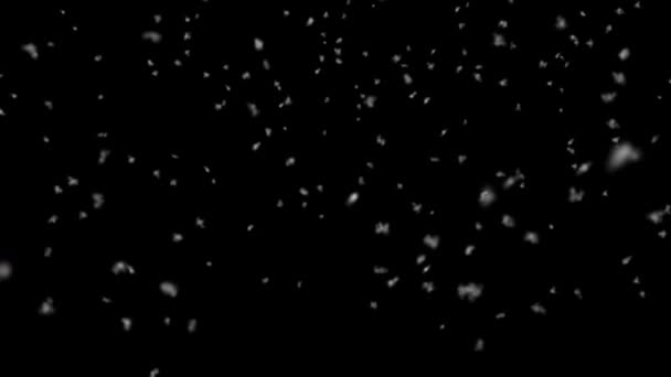 Chute aérienne de neige - Plan moyen - Boucle sans couture 