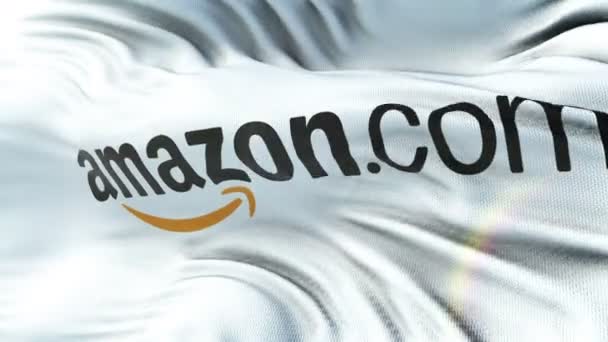 Флаг Amazon Com Машущий Солнцем Бесшовная Петля Подробной Текстурой Ткани — стоковое видео