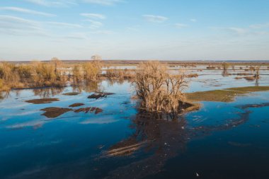 Bahar taşkınlığı manzarası