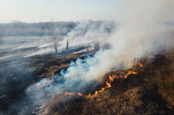 Wildfeuer-Antenne — Stockfoto