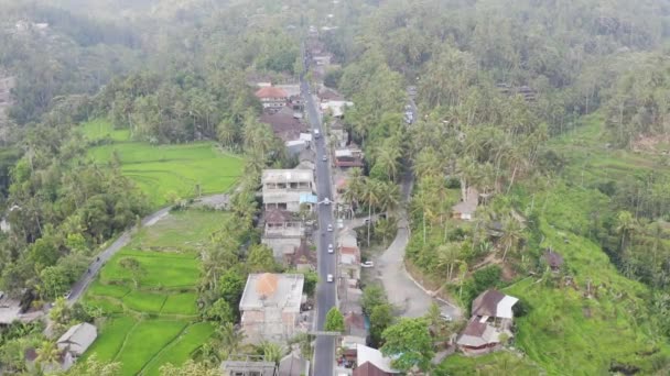 Campo de ruta Ubud — Vídeo de stock