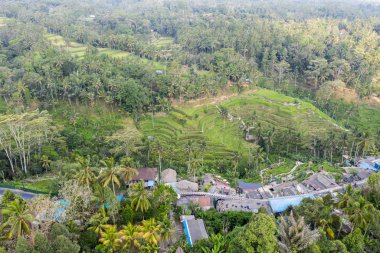 Ubud yolu alanı