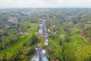 Ubud yolu alanı