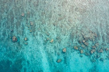 Okyanus dalgaları beach