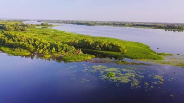 Río lago Riverland — Vídeos de Stock