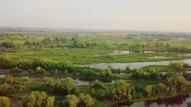 河滨湖河 — 图库视频影像