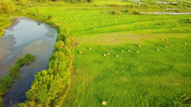 Campo rollo heno — Vídeo de stock