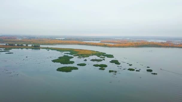 Lago d'autunno con canna — Video Stock