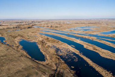 Düşen göl çimeni