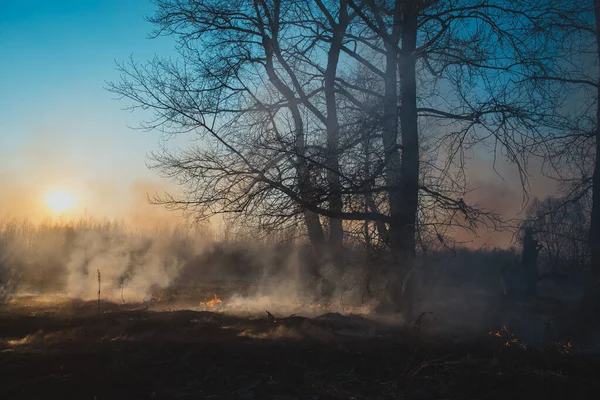 Flächenbrand und Rauch — Stockfoto