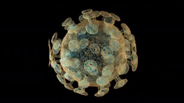 COVID-19 virus de l'homme — Video