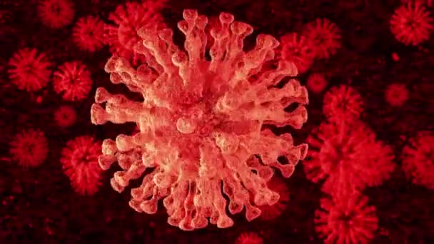 Vírus COVID-19 do ser humano — Vídeo de Stock