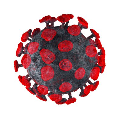 COVID-19 virüs mikrodünyası