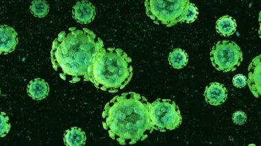 COVID-19 insan virüsü