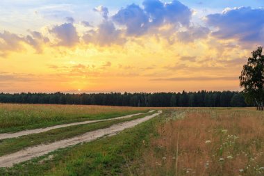 Tarımsal arazi üzerinden yol