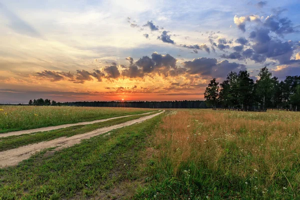 Yolun çayır aracılığıyla. Günbatımı