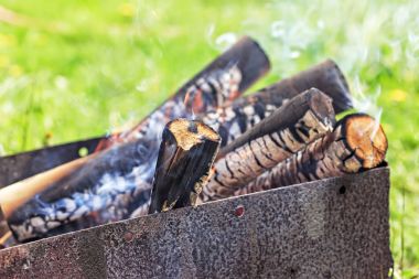 Yeşil zemin üzerine mangal yakacak odun yanık