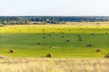 Eğimli alan ufuk için saman ve orman rulo ile