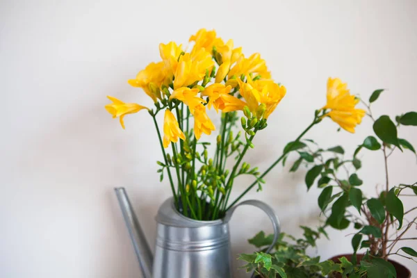 sarı frezya çiçek ve Ivy bir vazo içinde. ev tasarımı