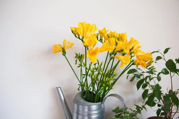 sarı frezya çiçek ve Ivy bir vazo içinde. ev tasarımı