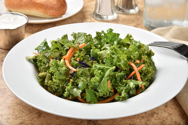 Bowl of kale salad — Stock Photo, Image